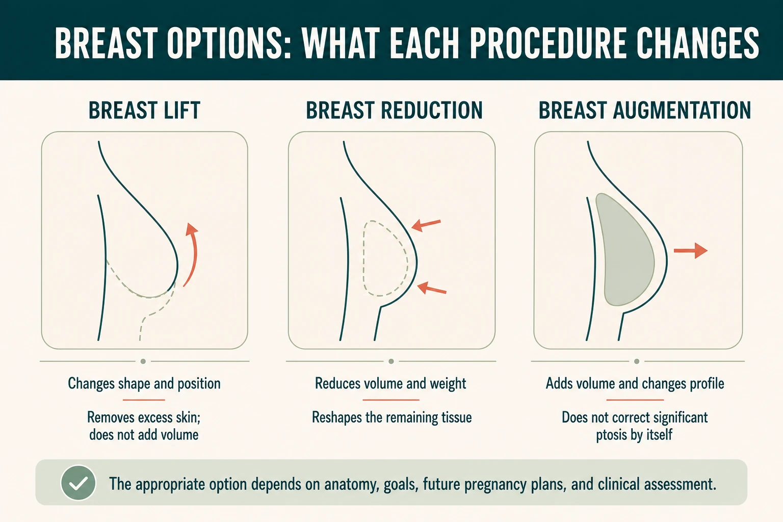 Three schematic profiles comparing what breast lift, breast reduction, and breast augmentation change